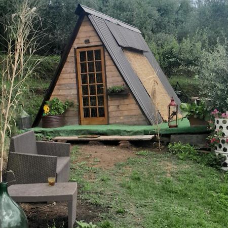 La Fatina Lodge Barga Exteriör bild