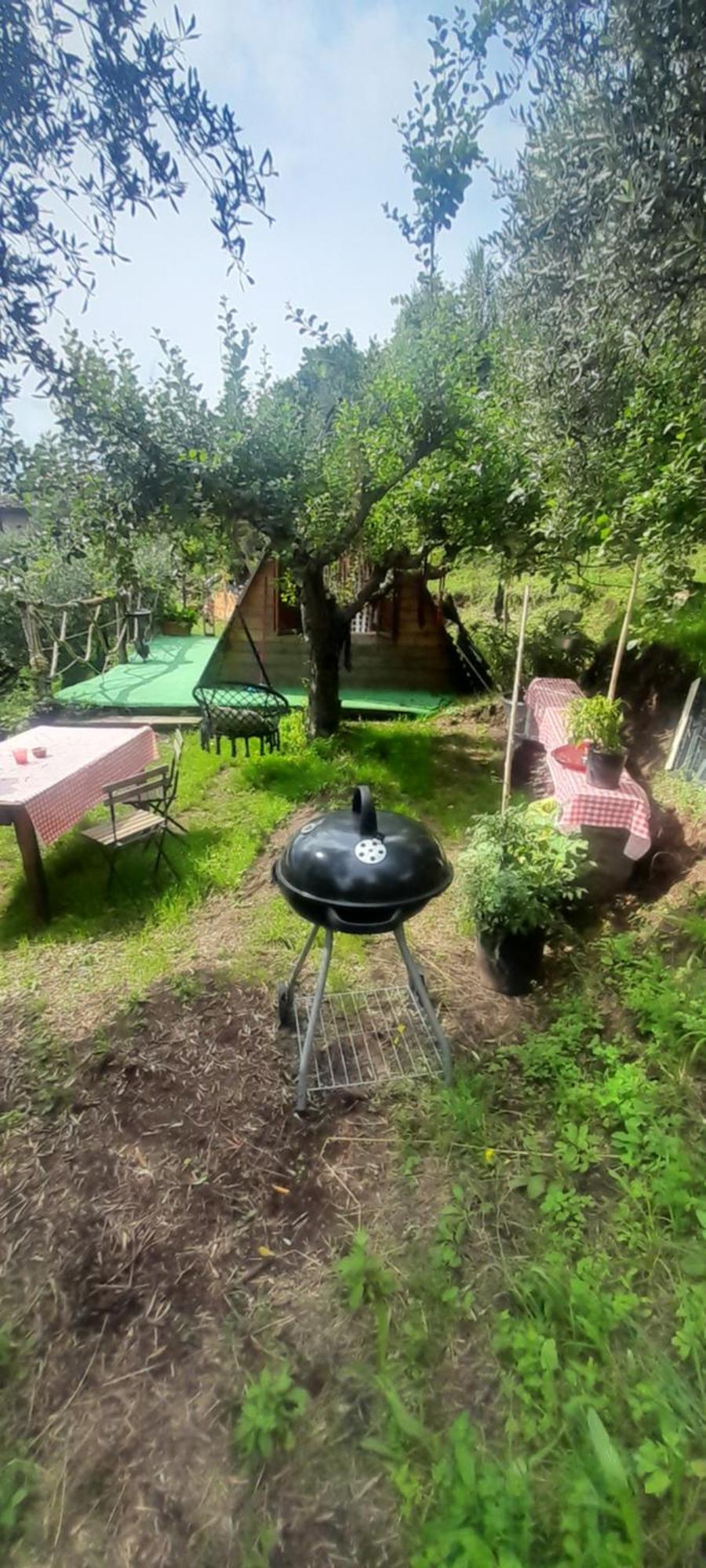 La Fatina Lodge Barga Exteriör bild