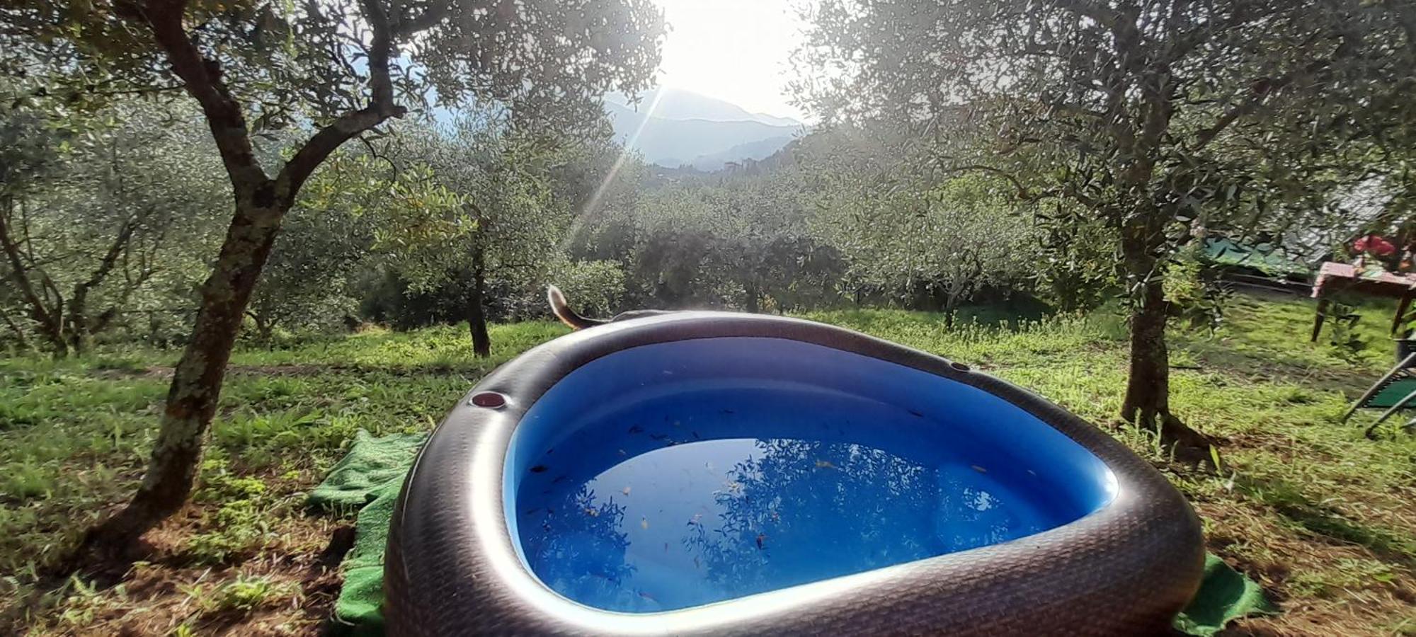 La Fatina Lodge Barga Exteriör bild