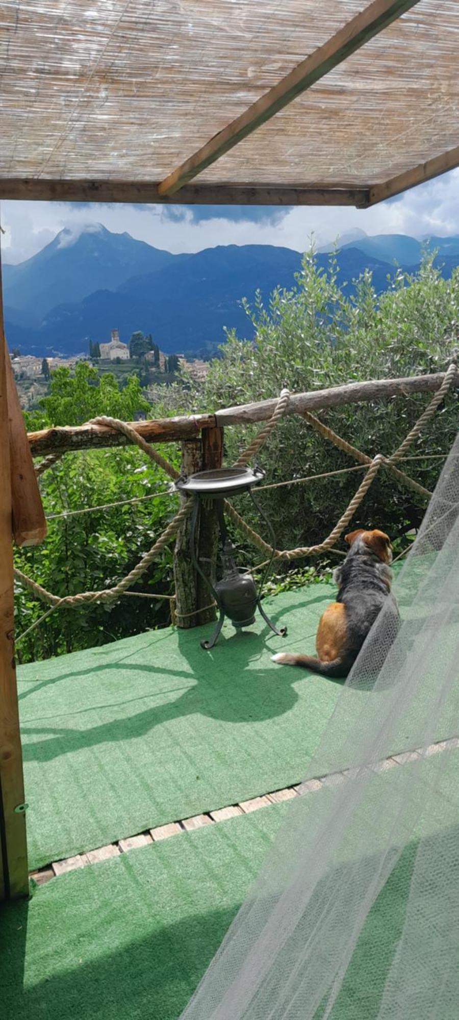 La Fatina Lodge Barga Exteriör bild