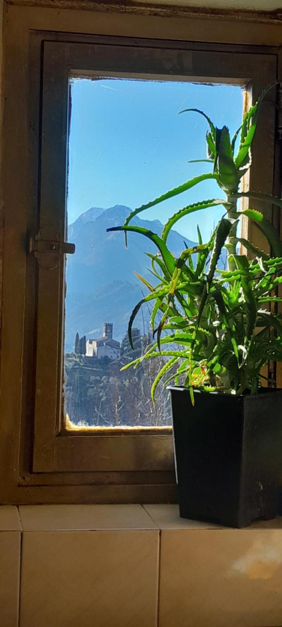 La Fatina Lodge Barga Exteriör bild